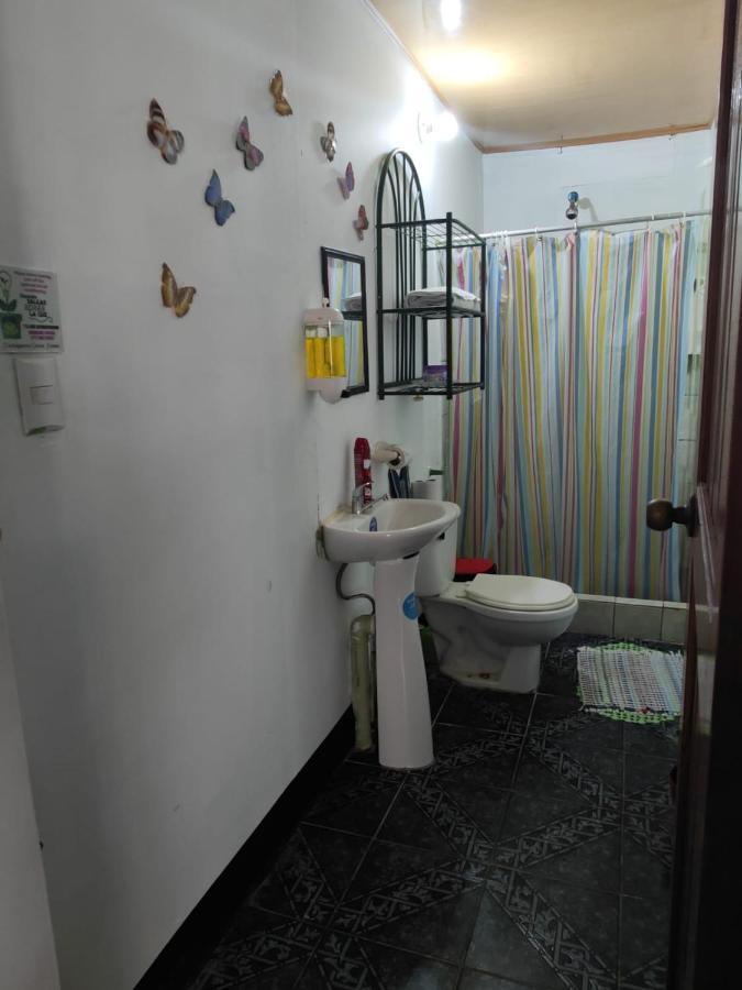 Ferienwohnung Tortuguero Casa De Playa Green House Exterior foto
