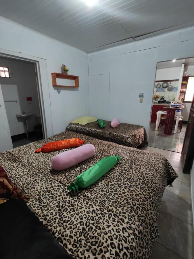 Ferienwohnung Tortuguero Casa De Playa Green House Exterior foto