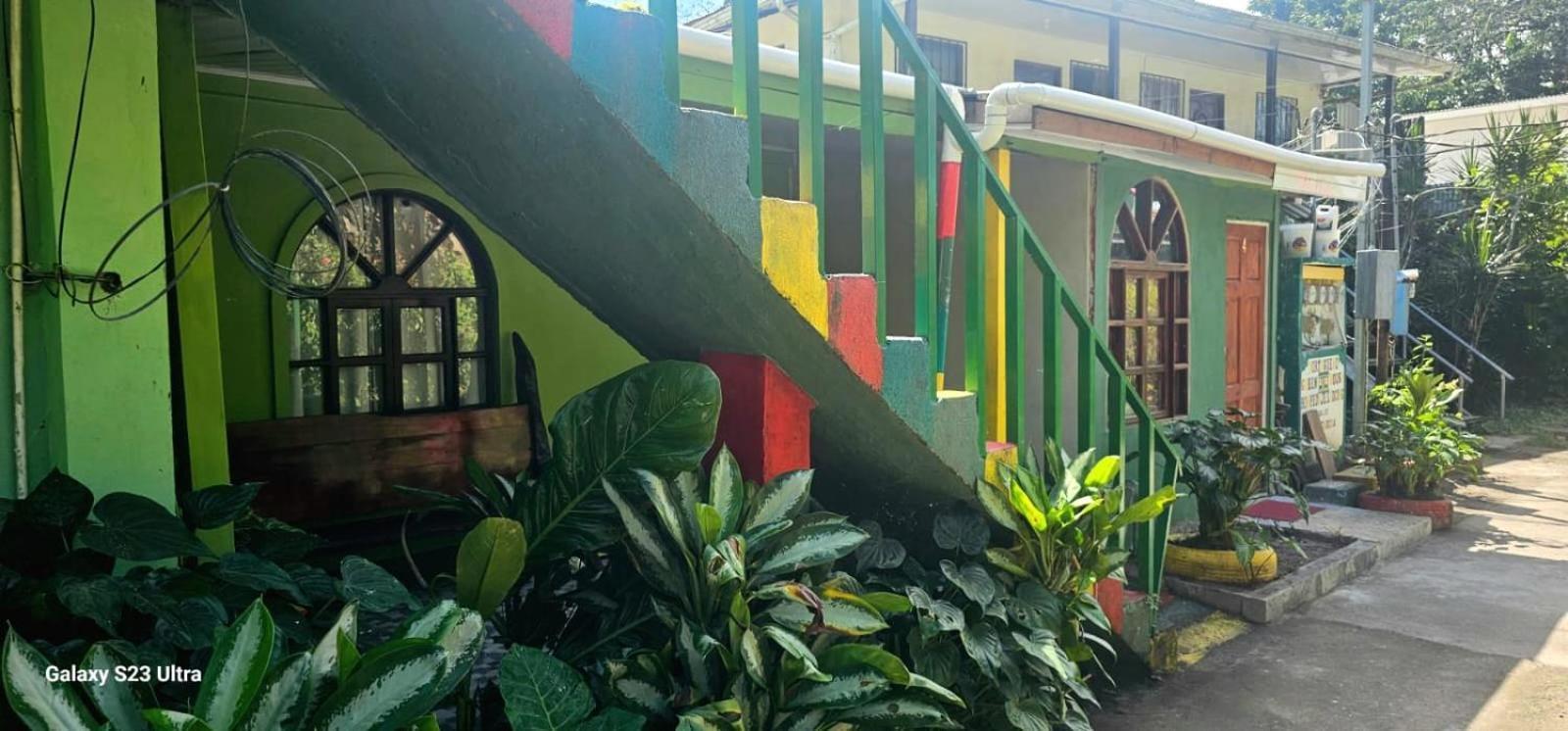 Ferienwohnung Tortuguero Casa De Playa Green House Exterior foto
